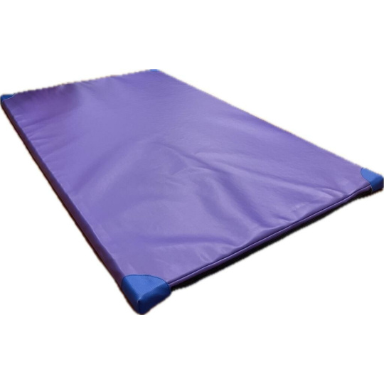 Gymnastická žiněnka ALLPROLINE 200 x 120 x 5 cm T80 protiskluz + vystužené rohy - fialová Gymnastická žiněnka ALLPROLINE 200 x 120 x 5 cm T80 protiskluz + vystužené rohy - fialová