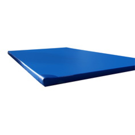 Gymnastická žiněnka ALLPROLINE 200 x 120 x 10 cm T25 s protiskluzem + vystužené rohy modrá